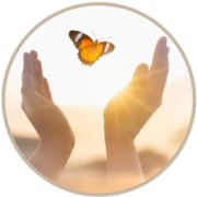 butterfly-quote-300x300